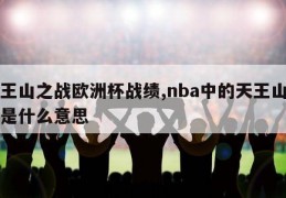 天王山之战欧洲杯战绩,nba中的天王山之战是什么意思