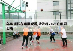 年欧洲杯在哪里观看,欧洲杯2021在哪可以看