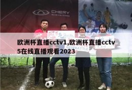 欧洲杯直播cctv1,欧洲杯直播cctv5在线直播观看2023