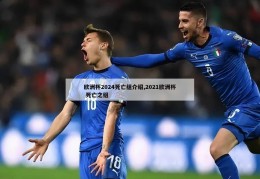 欧洲杯2024死亡组介绍,2021欧洲杯 死亡之组