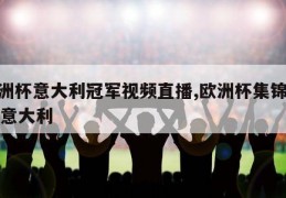 欧洲杯意大利冠军视频直播,欧洲杯集锦2021意大利