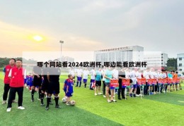 哪个网站看2024欧洲杯,哪边能看欧洲杯