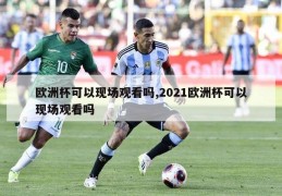 欧洲杯可以现场观看吗,2021欧洲杯可以现场观看吗