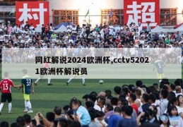 网红解说2024欧洲杯,cctv52021欧洲杯解说员