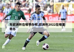 年欧洲杯在哪举办呢,欧洲杯2022在哪里举办