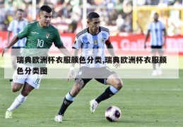 瑞典欧洲杯衣服颜色分类,瑞典欧洲杯衣服颜色分类图