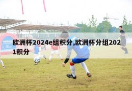 欧洲杯2024e组积分,欧洲杯分组2021积分