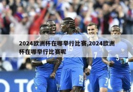 2024欧洲杯在哪举行比赛,2024欧洲杯在哪举行比赛呢