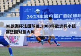 08欧洲杯法国球迷,2008年欧洲杯小组赛法国对意大利