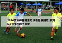 2024欧洲杯在哪里可以看比赛回放,欧洲杯2024在哪个国家