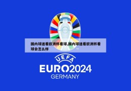 国内球迷看欧洲杯看球,国内球迷看欧洲杯看球会怎么样