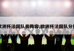 欧洲杯法国队员阵容,欧洲杯法国队分组