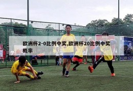 欧洲杯2-0比例中奖,欧洲杯20比例中奖概率