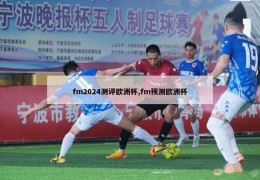 fm2024测评欧洲杯,fm预测欧洲杯