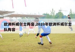 欧洲杯威尔士阵容,2020年欧洲杯威尔士队阵容