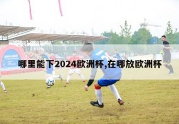 哪里能下2024欧洲杯,在哪放欧洲杯