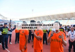 2024年足球欧洲杯丹麦,2024年足球欧洲杯丹麦队分析