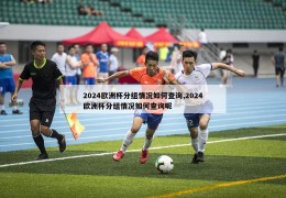 2024欧洲杯分组情况如何查询,2024欧洲杯分组情况如何查询呢