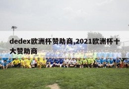 dedex欧洲杯赞助商,2021欧洲杯十大赞助商