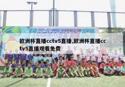 欧洲杯直播cctv5直播,欧洲杯直播cctv5直播观看免费