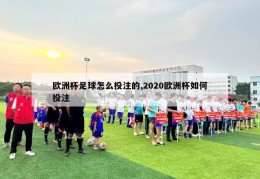 欧洲杯足球怎么投注的,2020欧洲杯如何投注