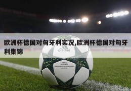 欧洲杯德国对匈牙利实况,欧洲杯德国对匈牙利集锦