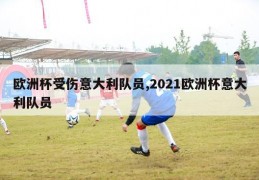 欧洲杯受伤意大利队员,2021欧洲杯意大利队员