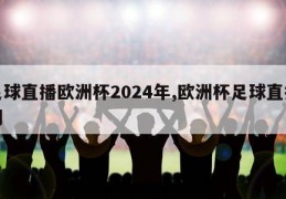 足球直播欧洲杯2024年,欧洲杯足球直播间