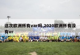 这次欧洲杯有var吗,2020欧洲杯有没有vr