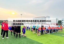 意大利欧洲杯球衣真伪查询,欧洲杯2021意大利球衣